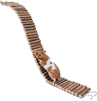 amazon small animal ladder