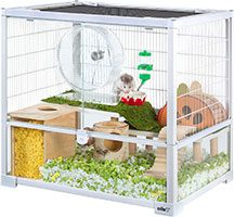 glass small animal cage