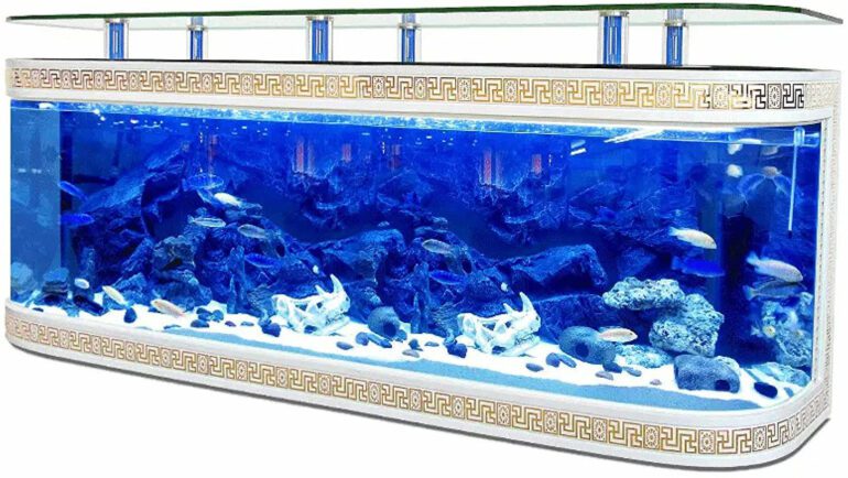 large aquarium