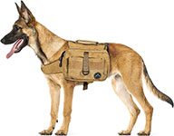 dog backpack to carry things