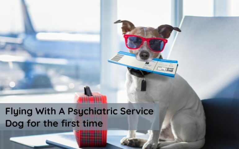psychiatric service dog flight