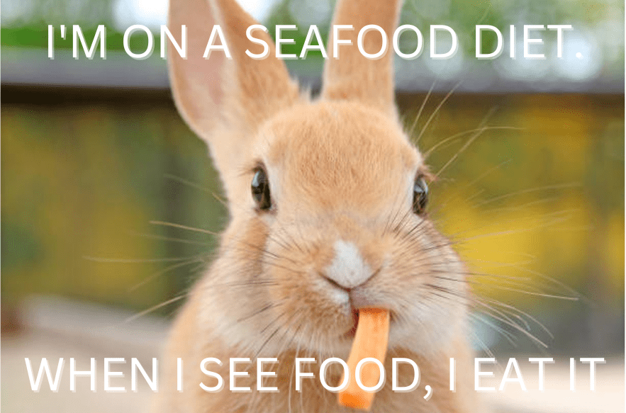 Rabbit Meme Seafood Diet
