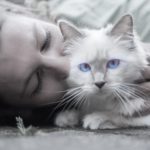 Health Benefits of Being a Cat Owner