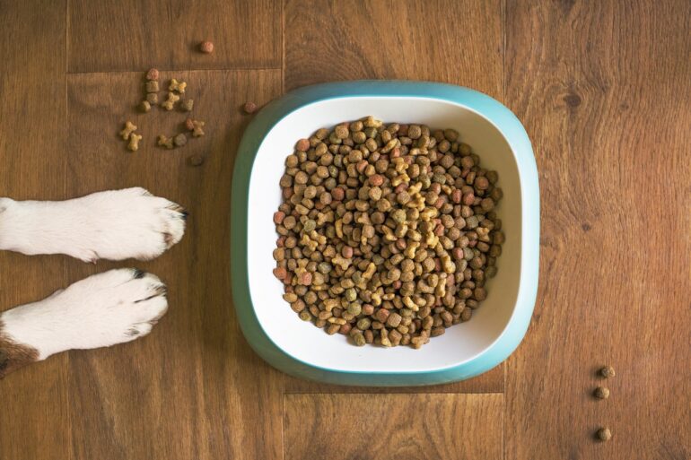 owners guide pet food palatability enhancers