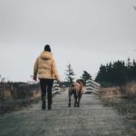 Walking Benefits for Dogs and Their Owners