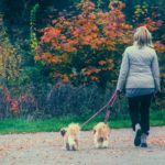 The Suprising Benefits of Walking Your Dog
