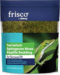 moss-for-reptile-tank