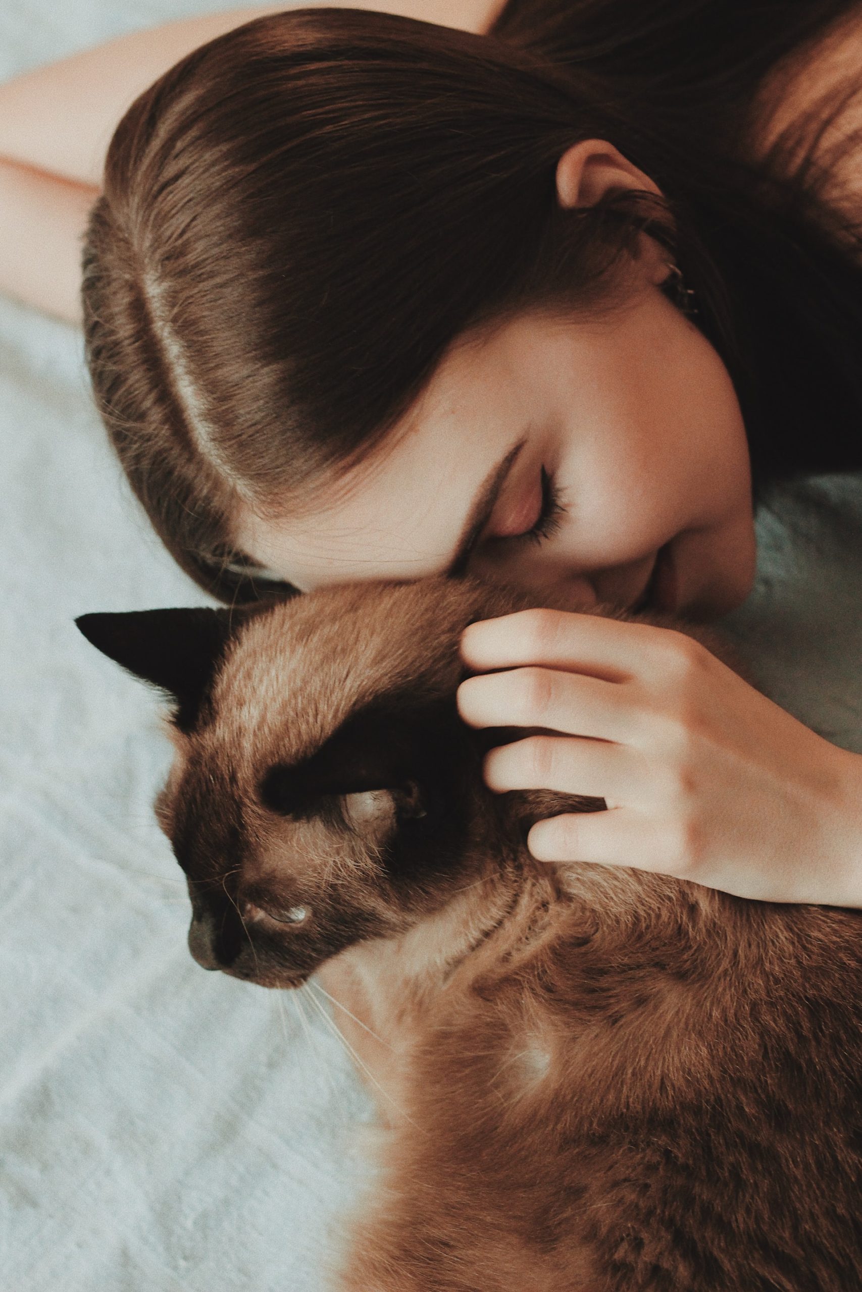 Cuddle with Your Cat - There's Benefits