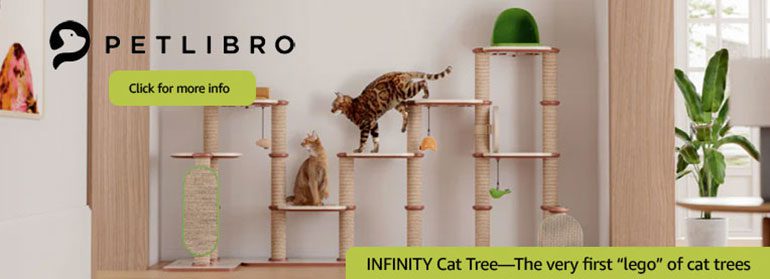 toys indoor cats
